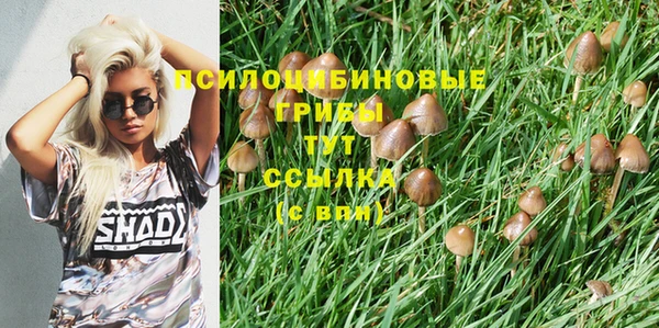 бутират Алзамай