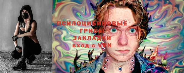 дживик Переславль-Залесский