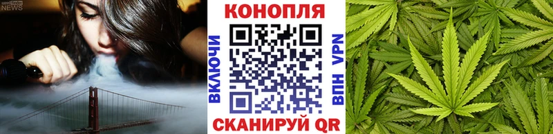 что такое наркотик Сельцо Бошки Шишки SATIVA & INDICA